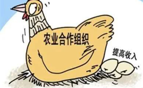 鄭州農(nóng)民專業(yè)合作社注冊(cè)流程(完整版)